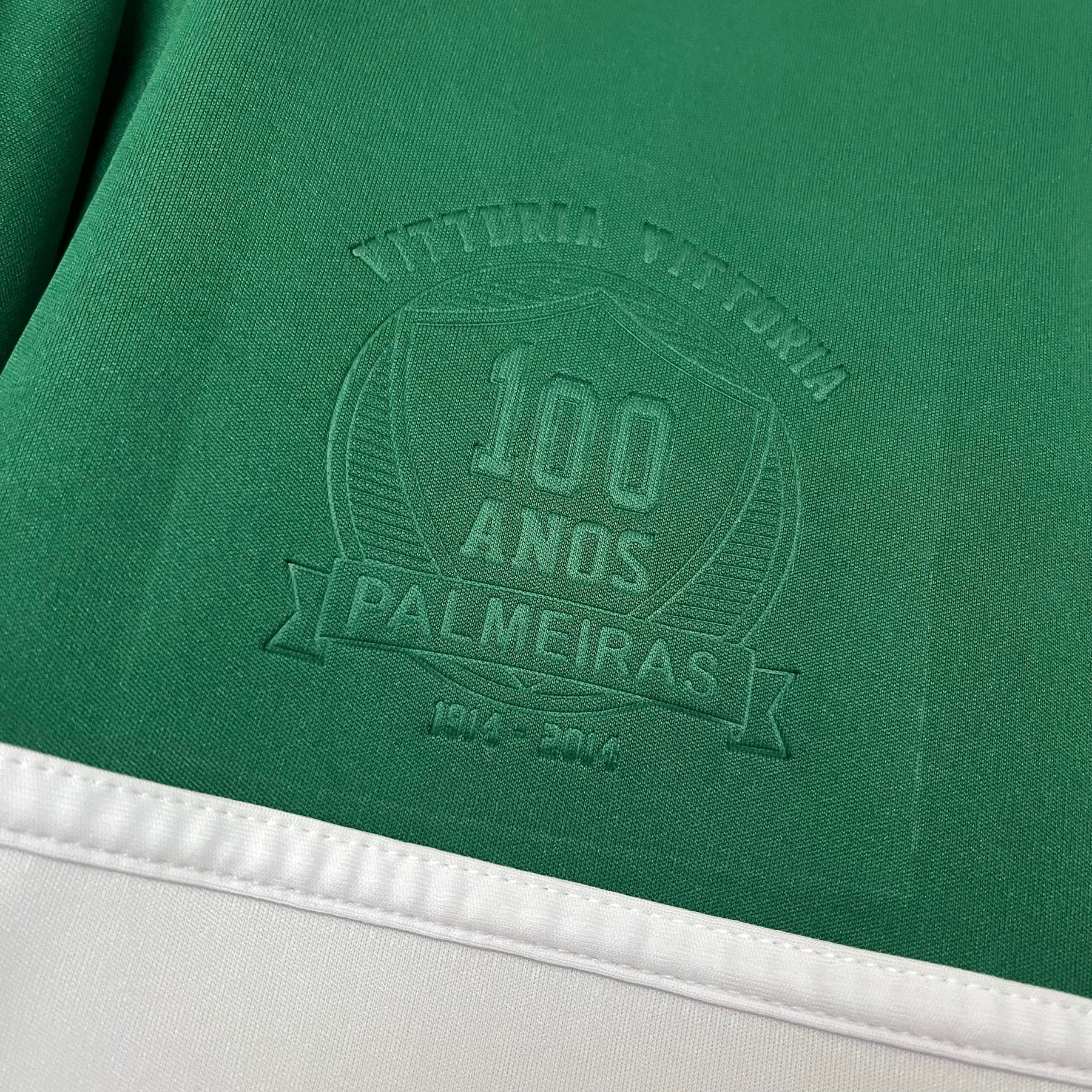CAMISA RETRÔ PALMEIRAS EDIÇÃO ESPECIAL 2014