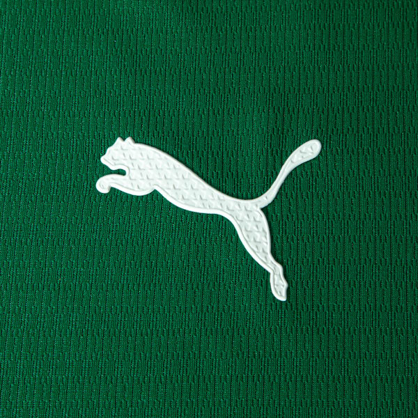 CAMISA VERDÃO TITULAR 2026/27 MASCULINA JOGADOR