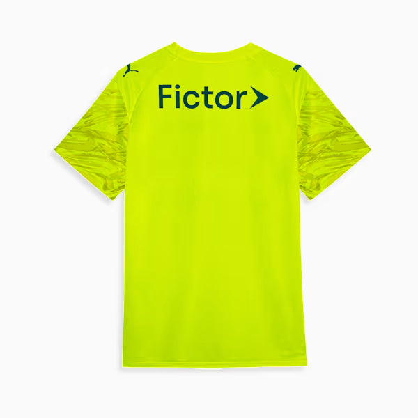 CAMISA VERDÃO GOLEIRO THIRD 2026 MASCULINA