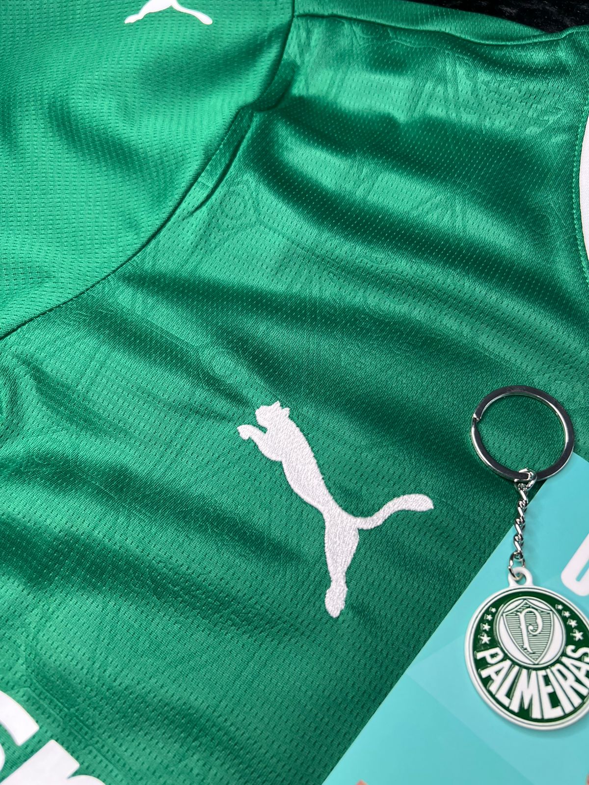 CAMISA VERDÃO TITULAR I 2025/26 PRONTA ENTREGA TORCEDOR MASCULINA VERDE