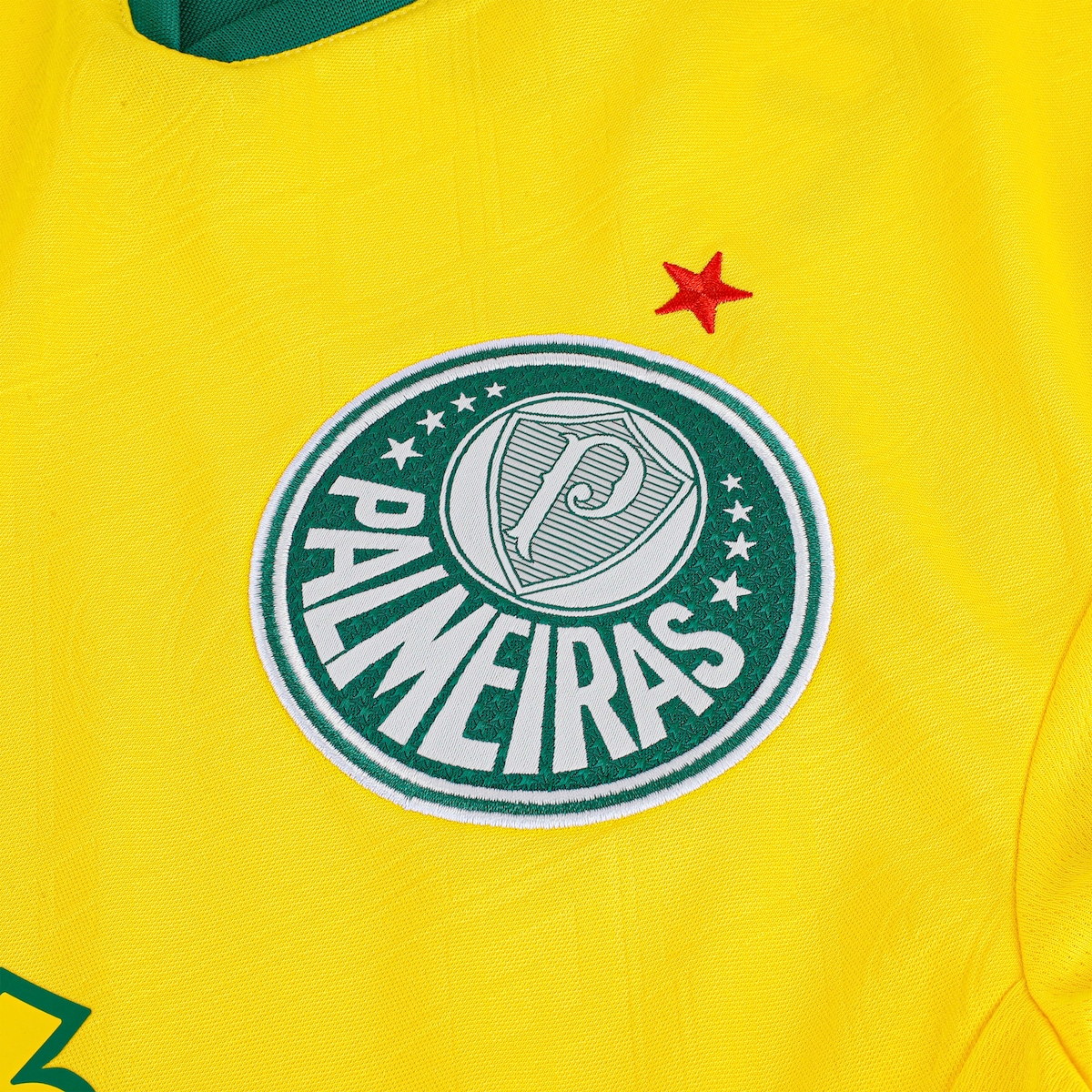 CAMISA VERDÃO THIRD 2025 TORCEDOR MASCULINA