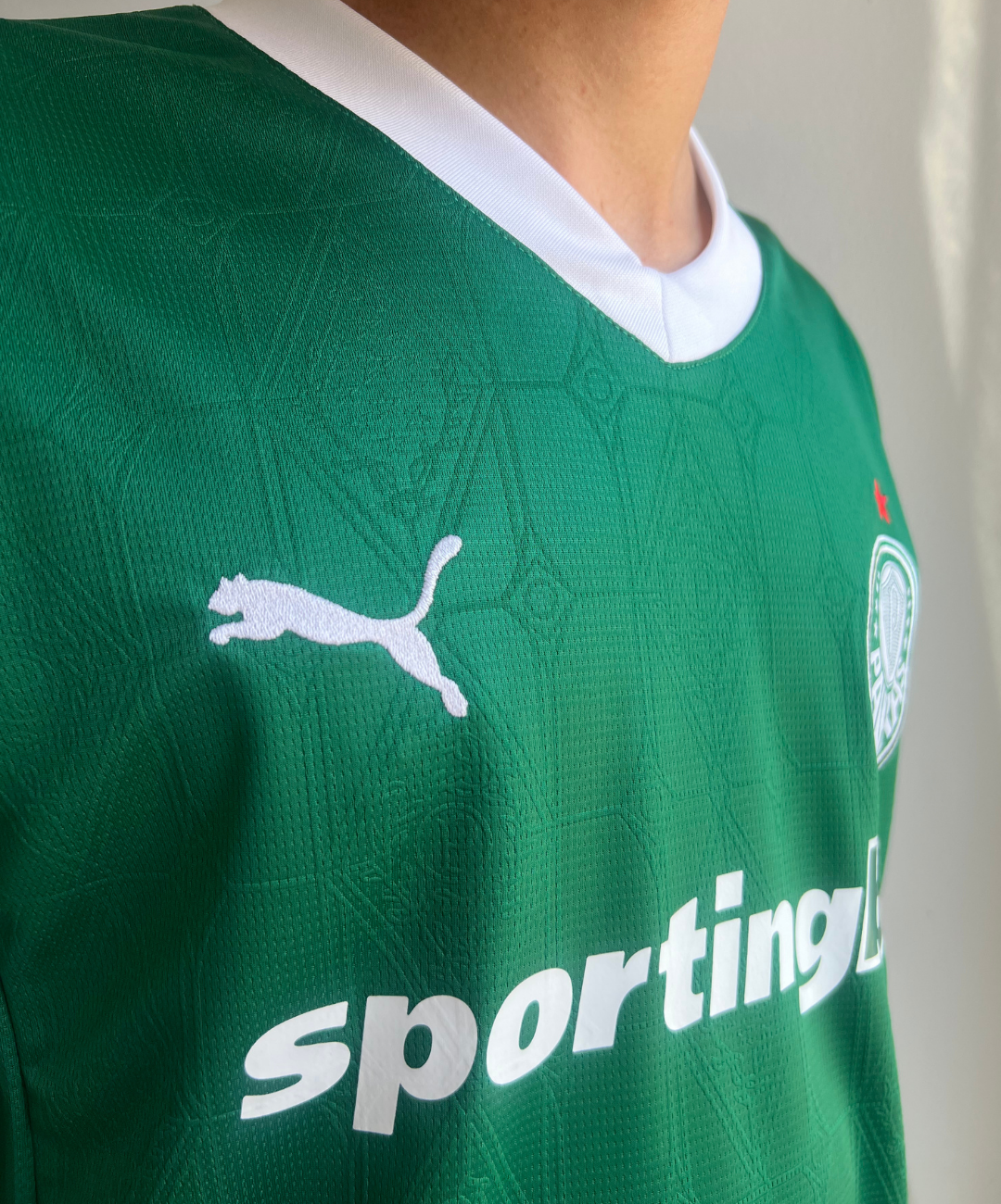CAMISA VERDÃO TITULAR I 2025/26 PRONTA ENTREGA TORCEDOR MASCULINA VERDE
