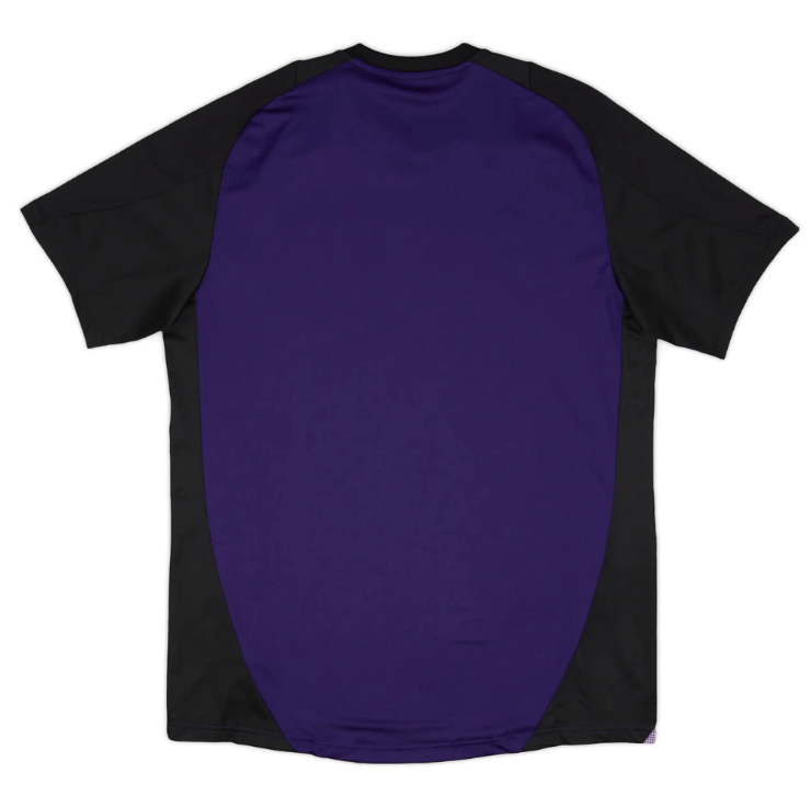 CAMISA ALEMANHA TREINO 2025/26 ROXA MASCULINA