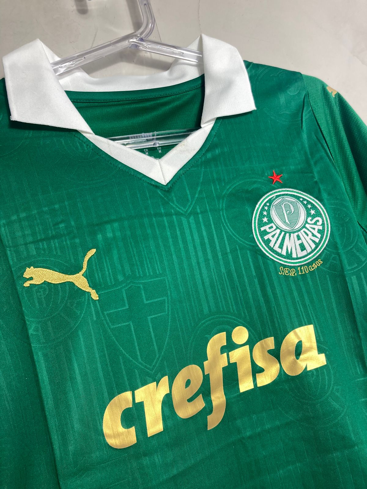 camisa_puma_palmeiras_i_feminina_brasileirão_lançamento_torcedor_verde_2024-25_home