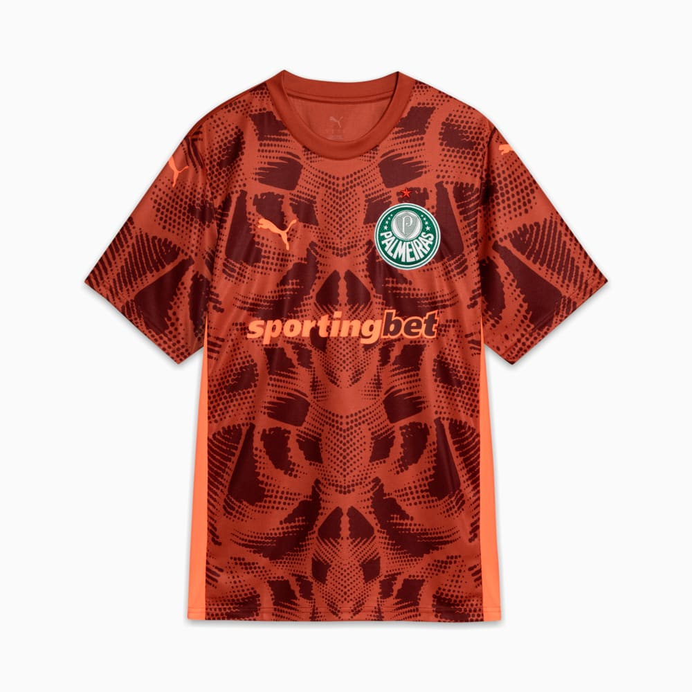 CAMISA VERDÃO GOLEIRO 2025 MASCULINA