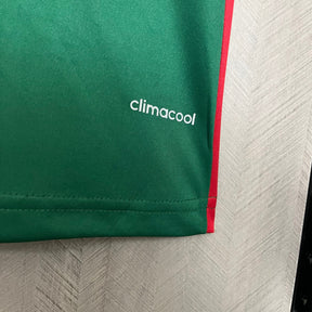 CAMISA RETRÔ PALMEIRAS EDIÇÃO ESPECIAL 2014
