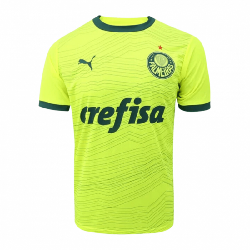 CAMISA PALMEIRAS III 2023/24