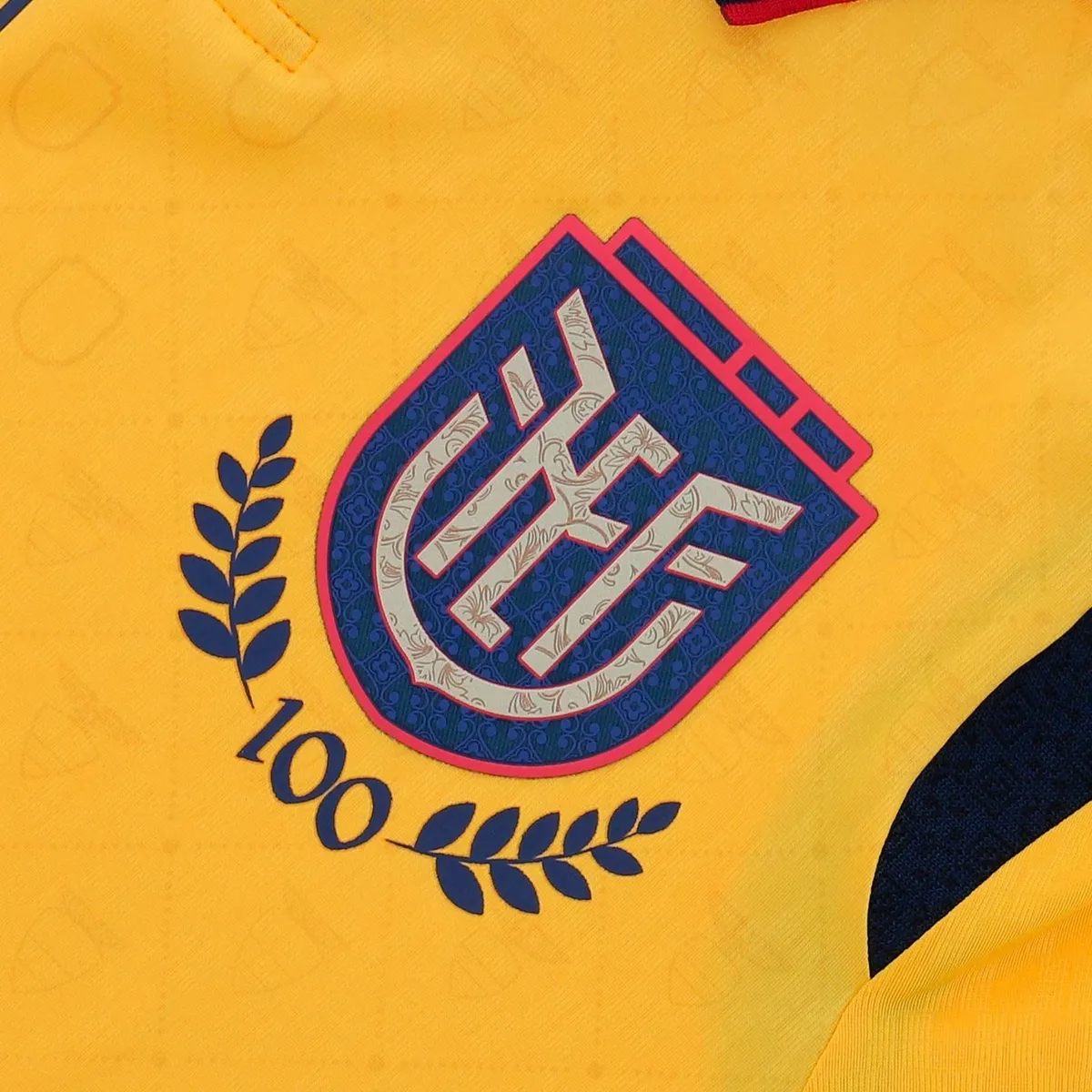 CAMISA TITULAR II AWAY 2025