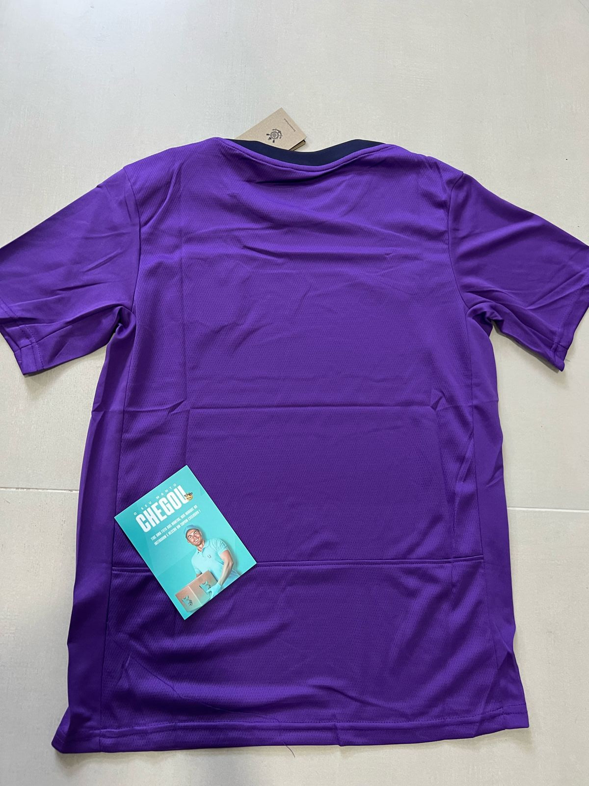 CAMISA TIMAO TREINO 2025 ROXA PRONTA ENTREGA MASCULINA