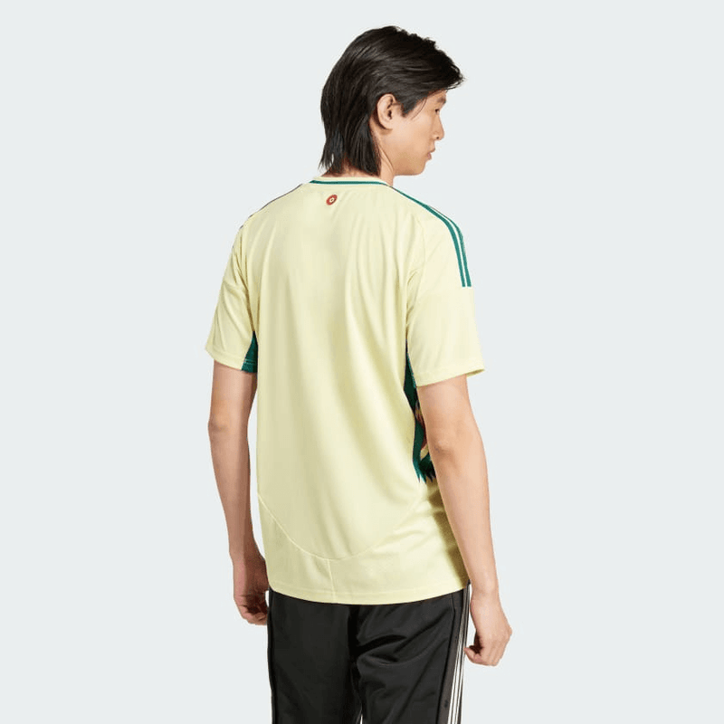 CAMISA PAÍS DE GALES I 2024/25