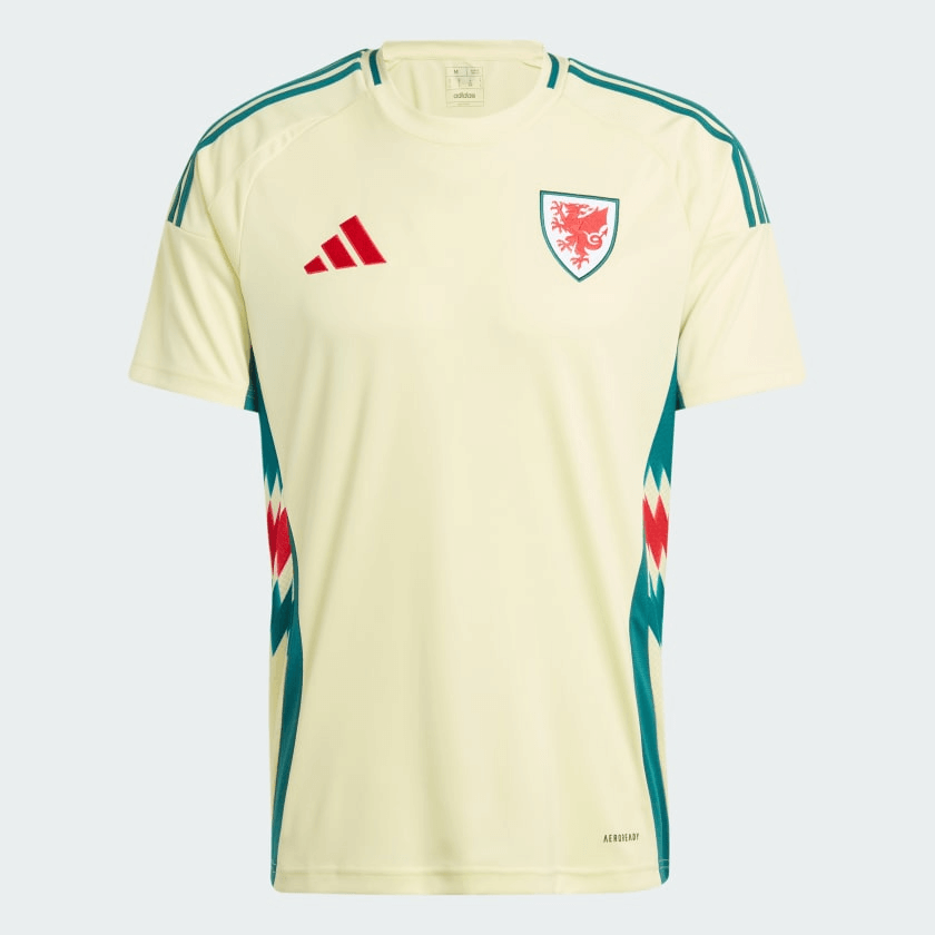 CAMISA PAÍS DE GALES I 2024/25