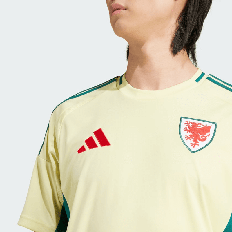 CAMISA PAÍS DE GALES I 2024/25