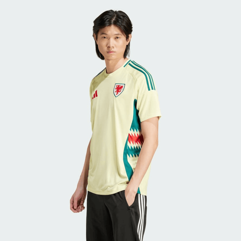 CAMISA PAÍS DE GALES I 2024/25