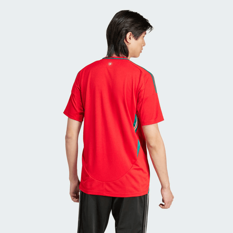 CAMISA PAÍS DE GALES II 2024/25