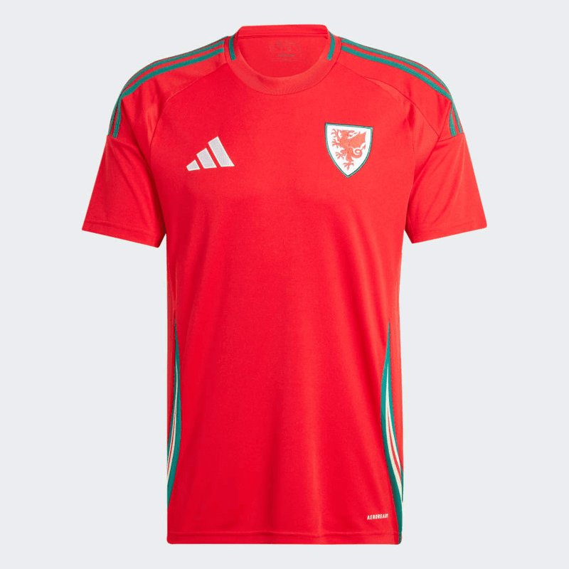 CAMISA PAÍS DE GALES II 2024/25