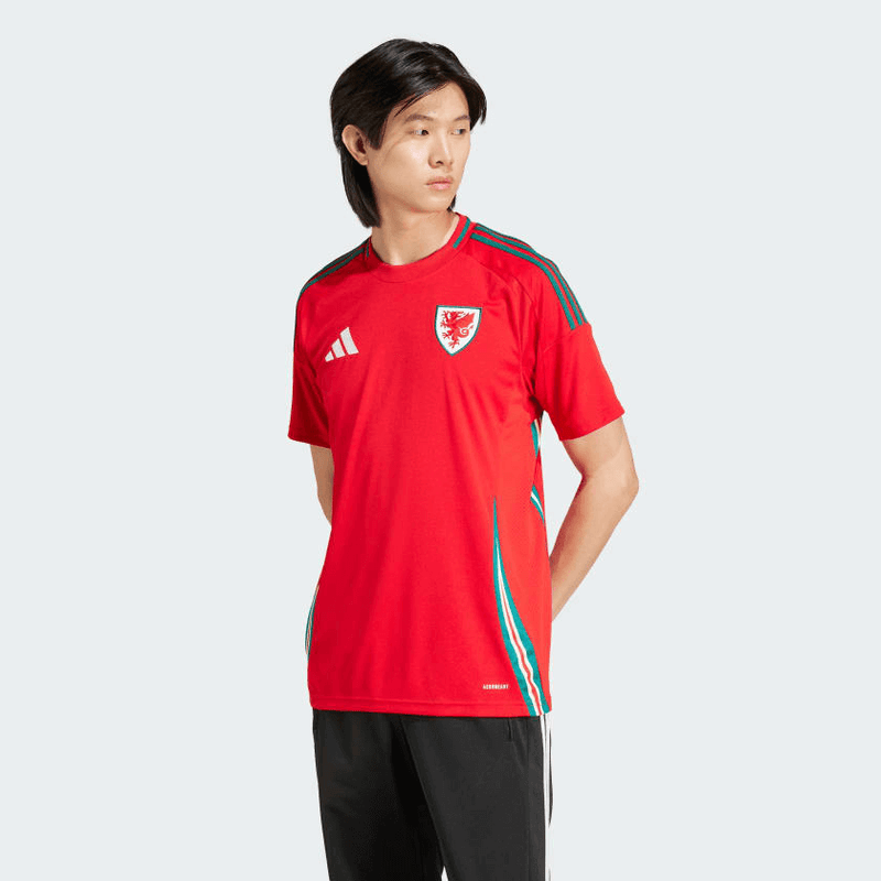 CAMISA PAÍS DE GALES II 2024/25