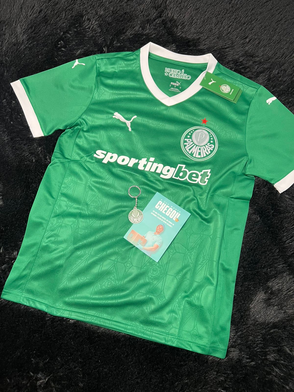 CAMISA VERDÃO TITULAR I 2025/26 PRONTA ENTREGA TORCEDOR MASCULINA VERDE