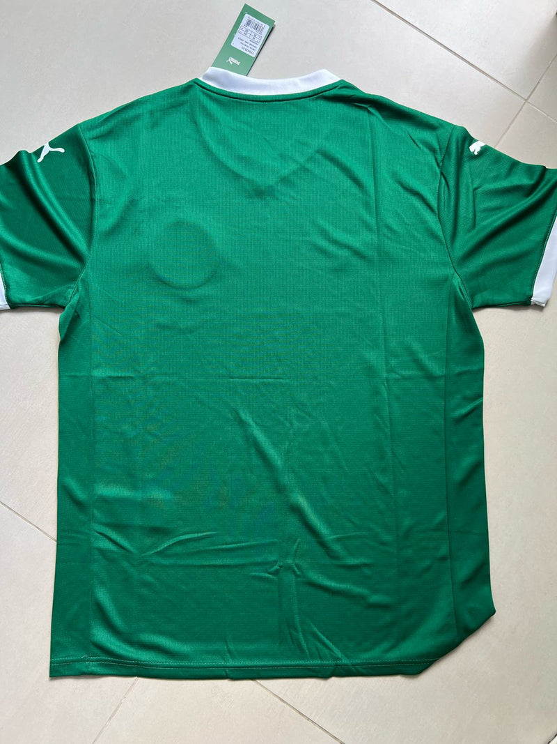 CAMISA VERDÃO TITULAR I 2025/26 PRONTA ENTREGA TORCEDOR MASCULINA VERDE