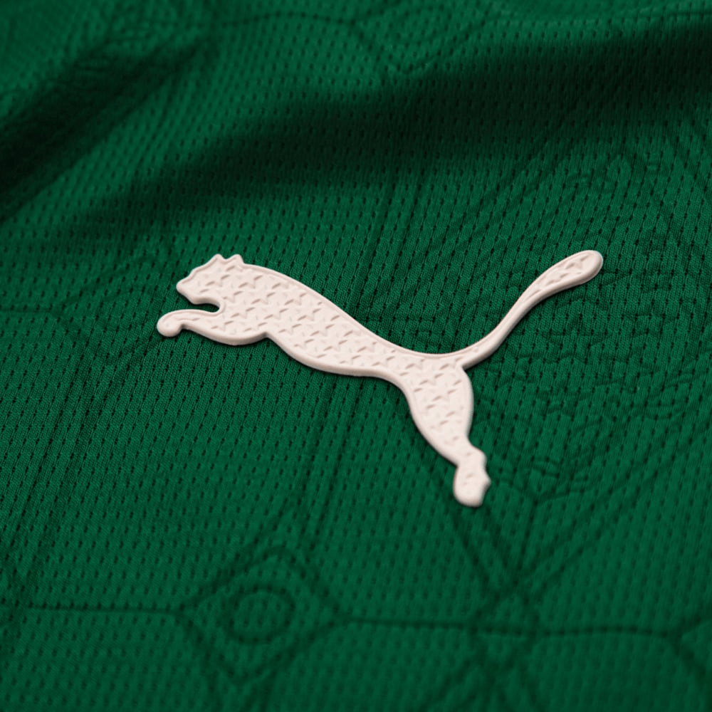 CAMISA VERDÃO I TITULAR 2025/26 VERSÃO AUTHENTIC JOGADOR VERDE