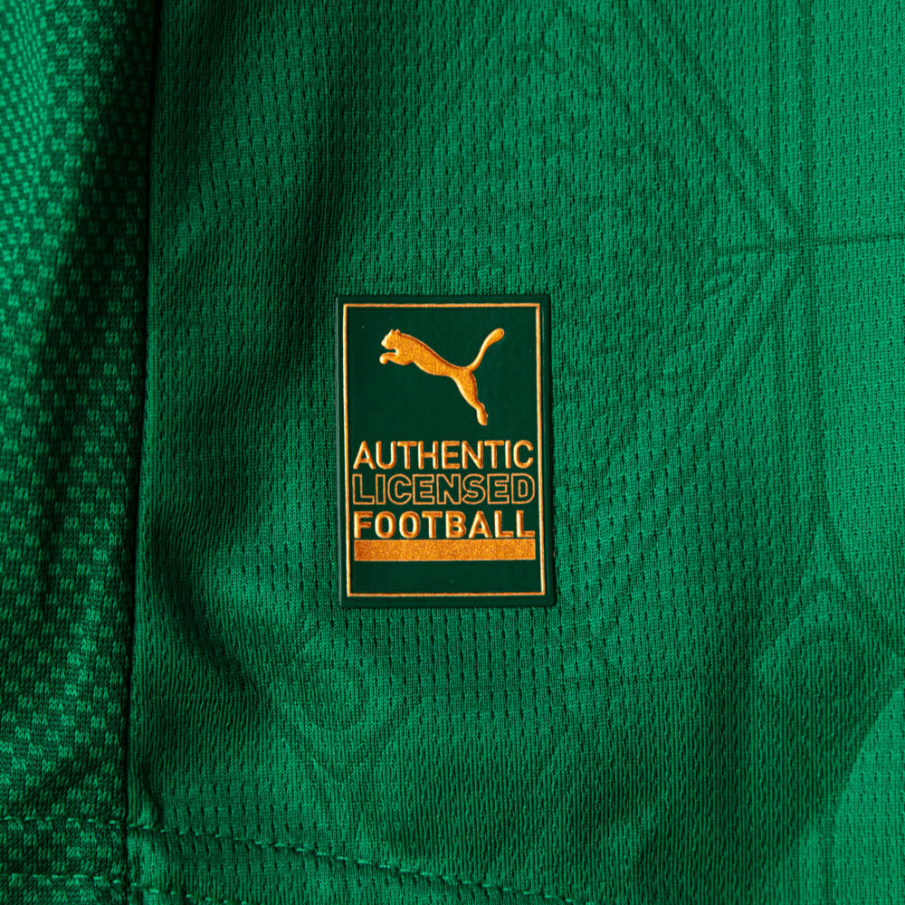 CAMISA VERDÃO I TITULAR 2025/26 VERSÃO AUTHENTIC JOGADOR VERDE