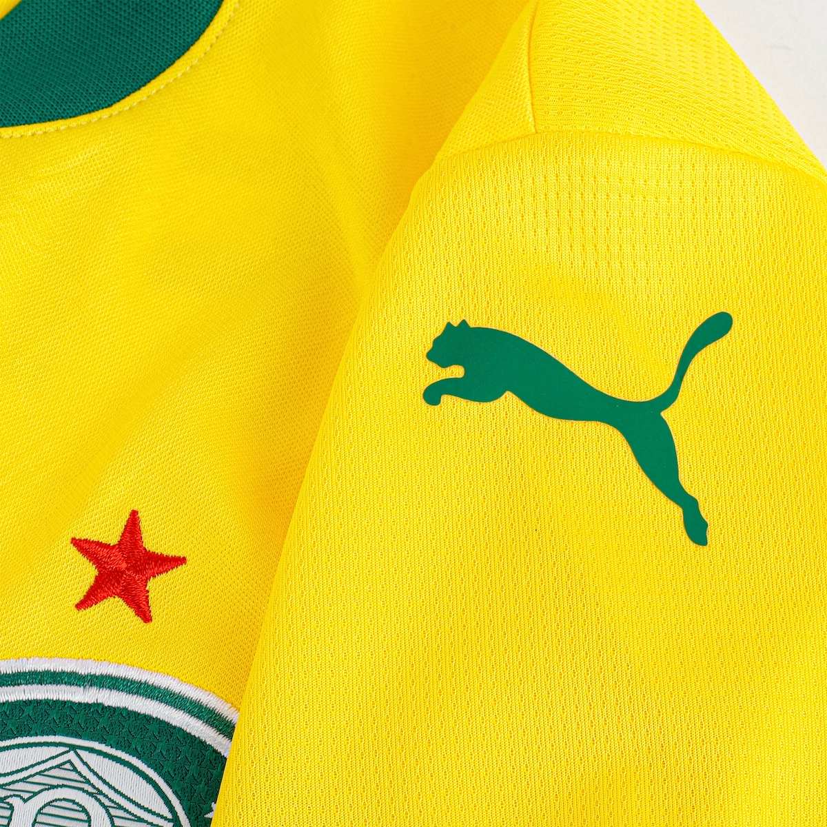 PRÉ VENDA CAMISA VERDÃO THIRD 2025 TORCEDOR MASCULINA