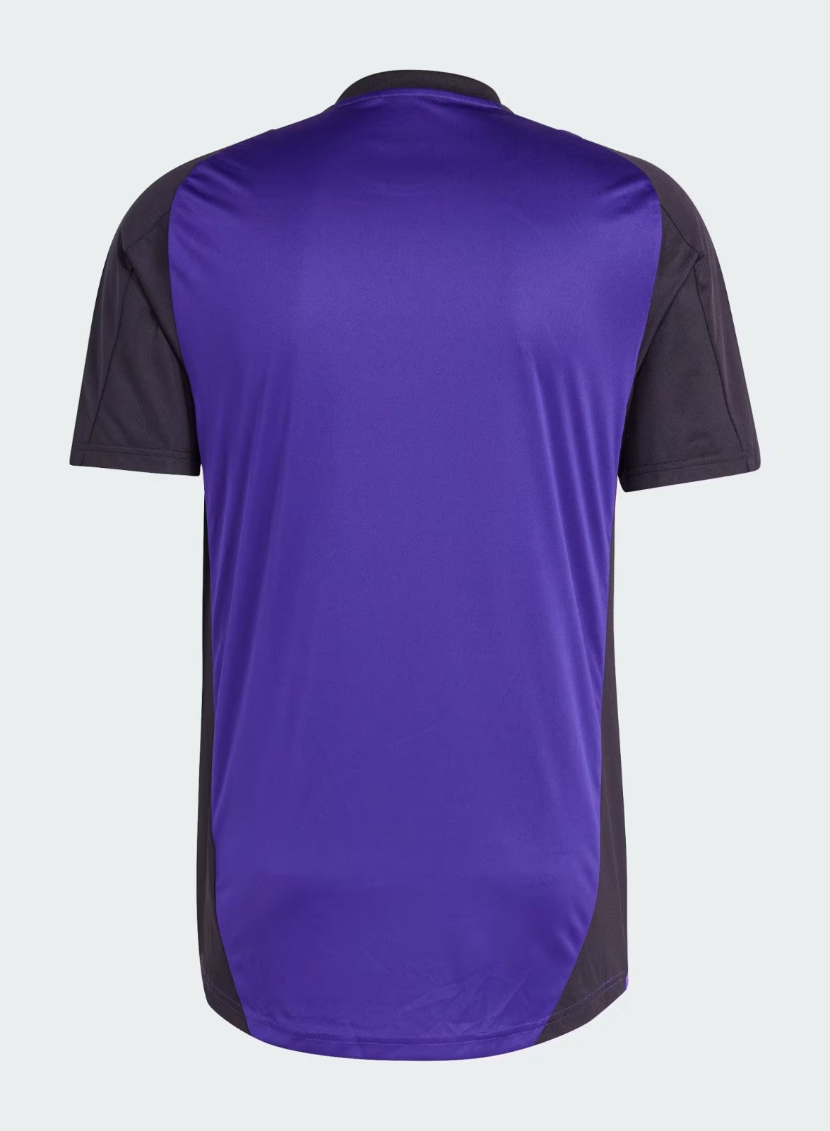 CAMISA ALEMANHA TREINO 2025/26 ROXA MASCULINA
