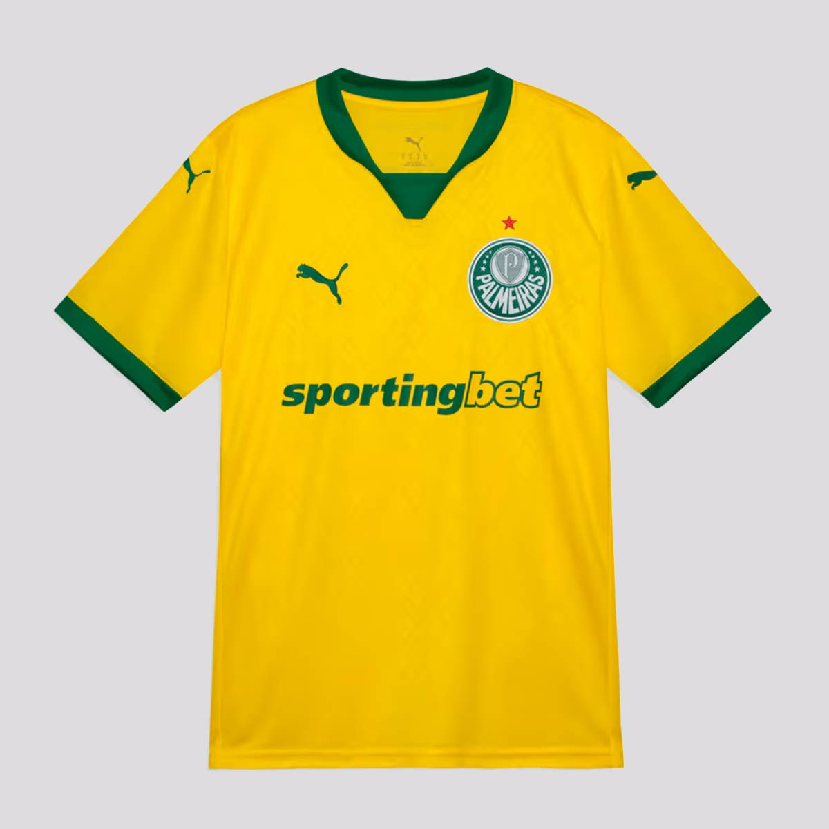PRÉ VENDA CAMISA VERDÃO THIRD 2025 TORCEDOR MASCULINA