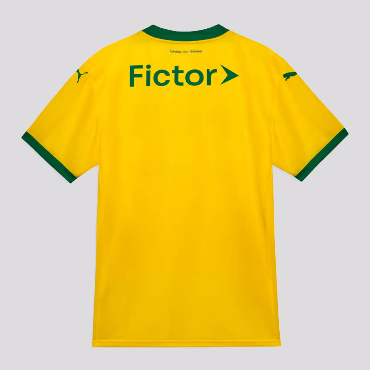 CAMISA VERDÃO III THIRD 2025/26 VERSÃO AUTHENTIC JOGADOR