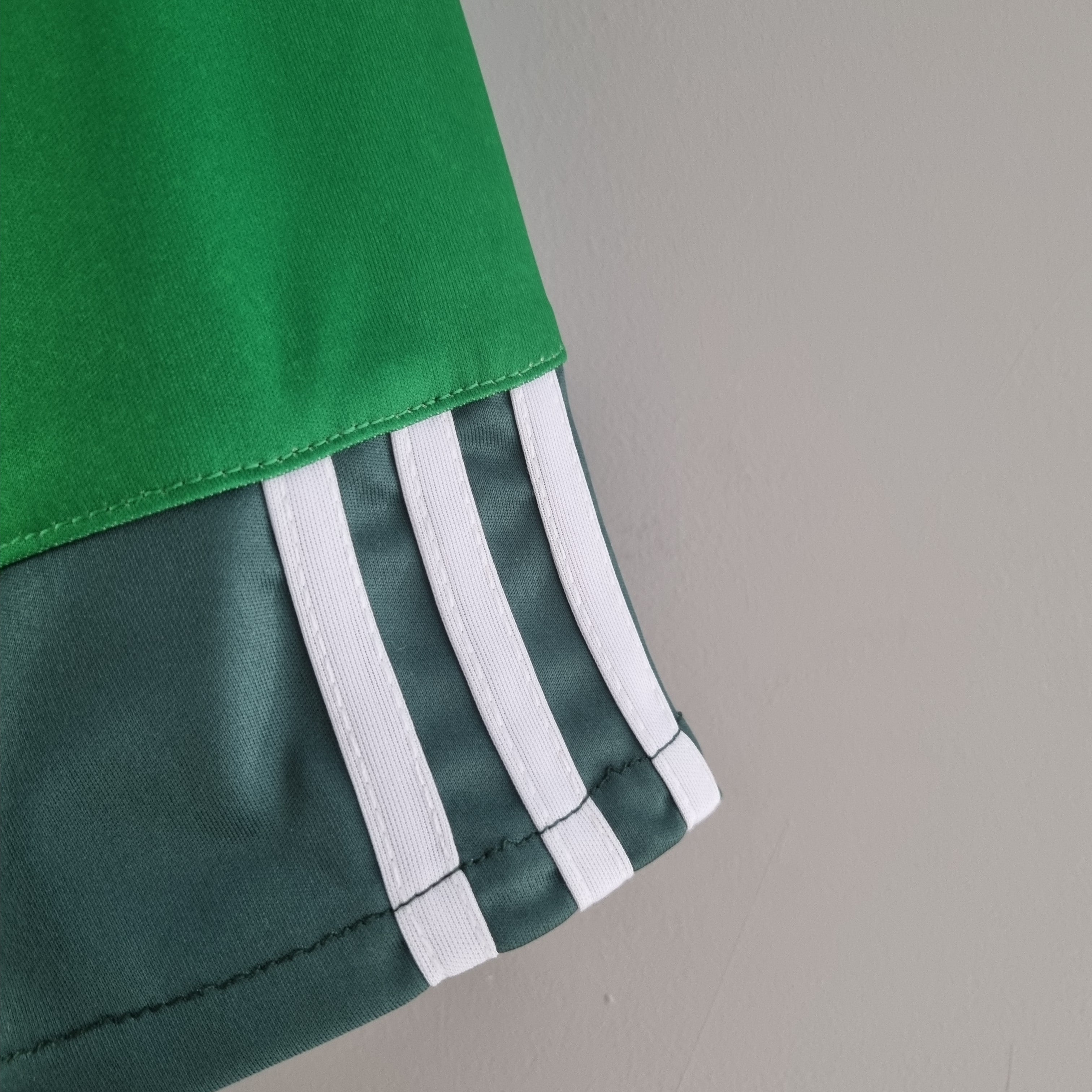 CAMISA RETRÔ PALMEIRAS TERCEIRA 2010/11