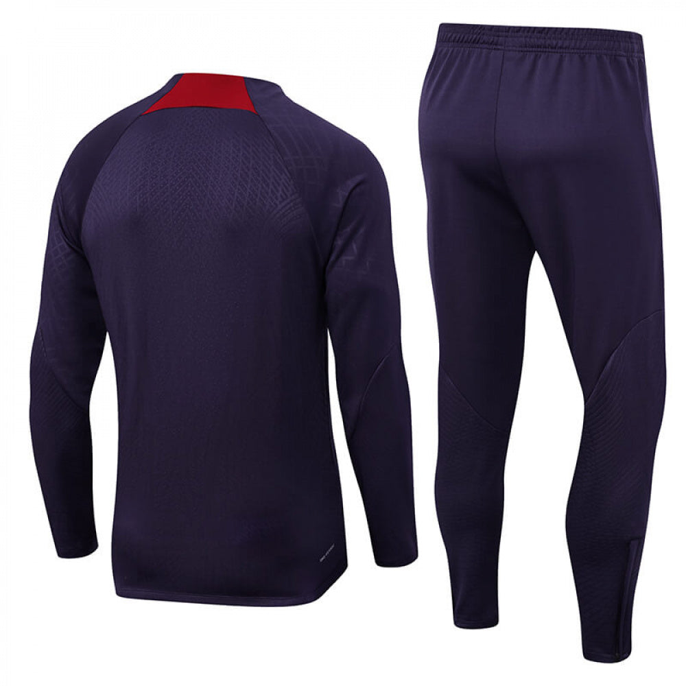 AGASALHO PSG TREINO 2023/24 ROXO
